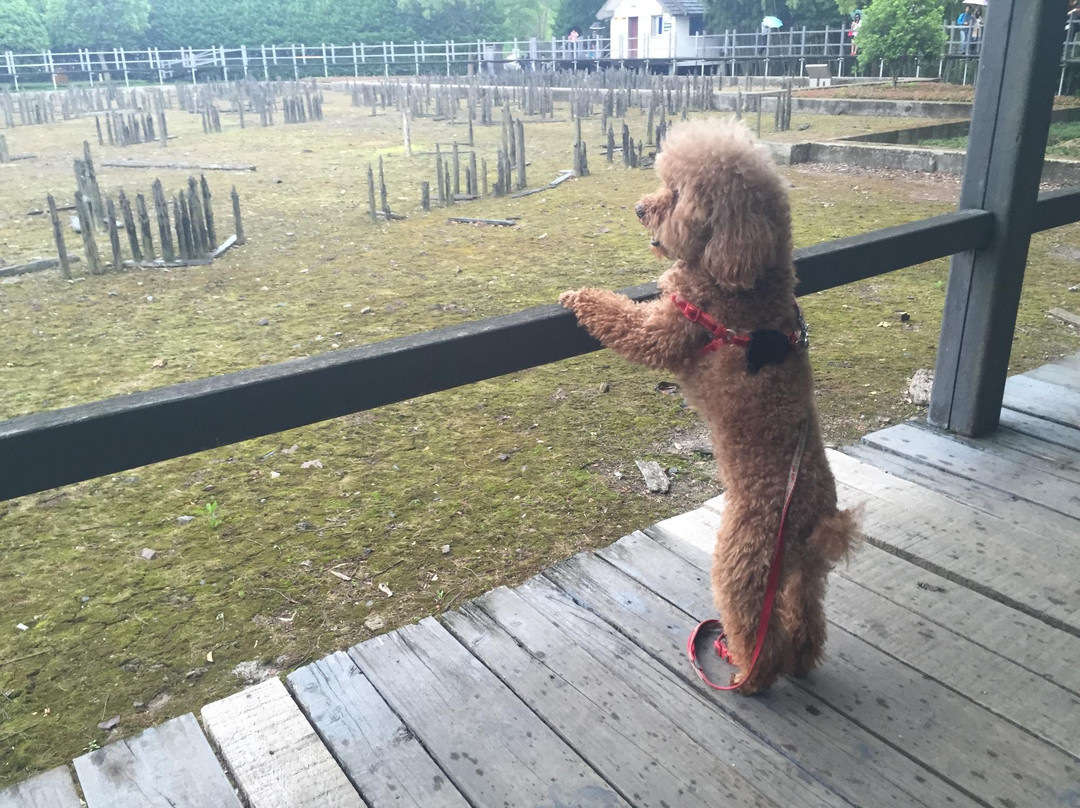 河姆渡遗址-余姚市必去景点