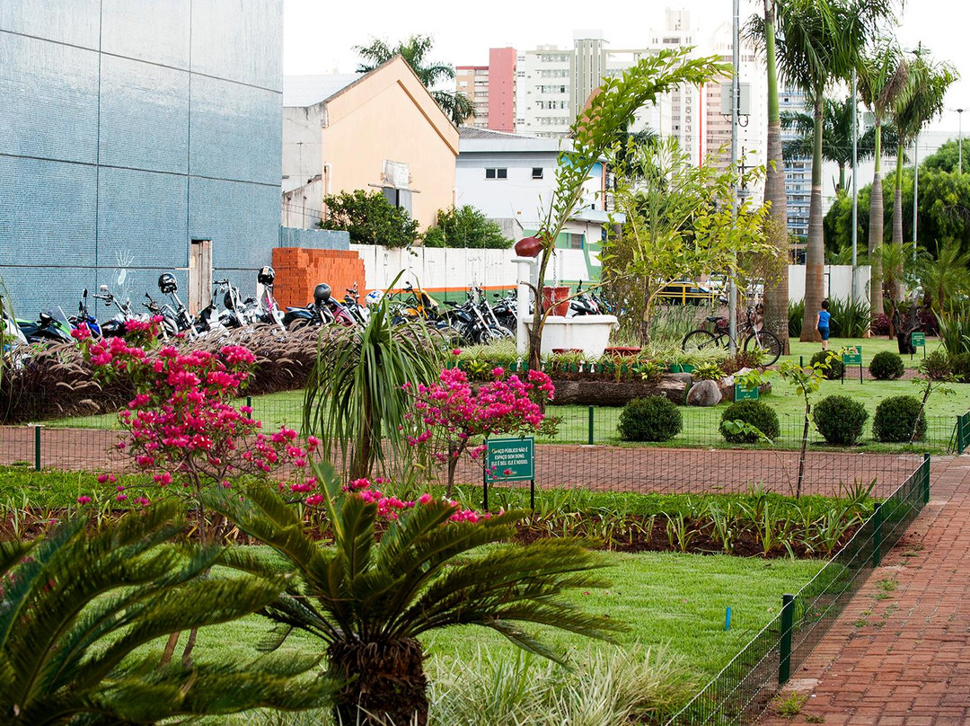 Maringa旅游景点-Mercadao de Maringa