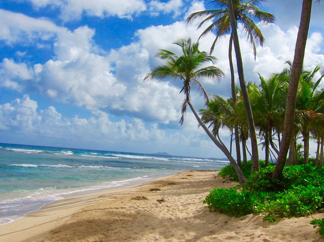 Pelican Cove Beach-Christiansted必去景点