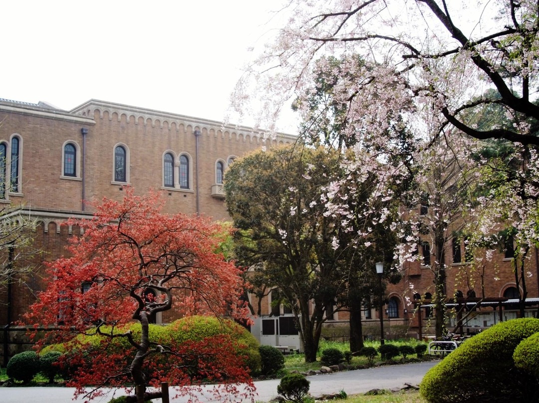 Hitotsubashi University Kunitachi Campus-国立市必去景点