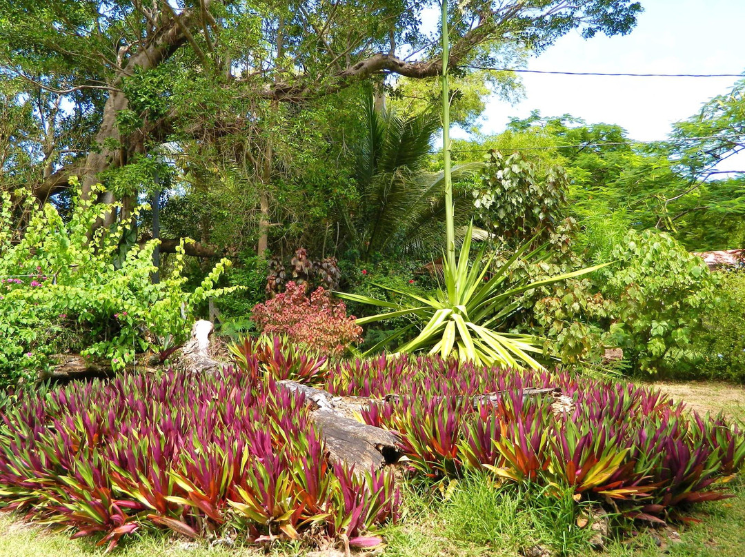 Port de Kuto-Kuto必去景点