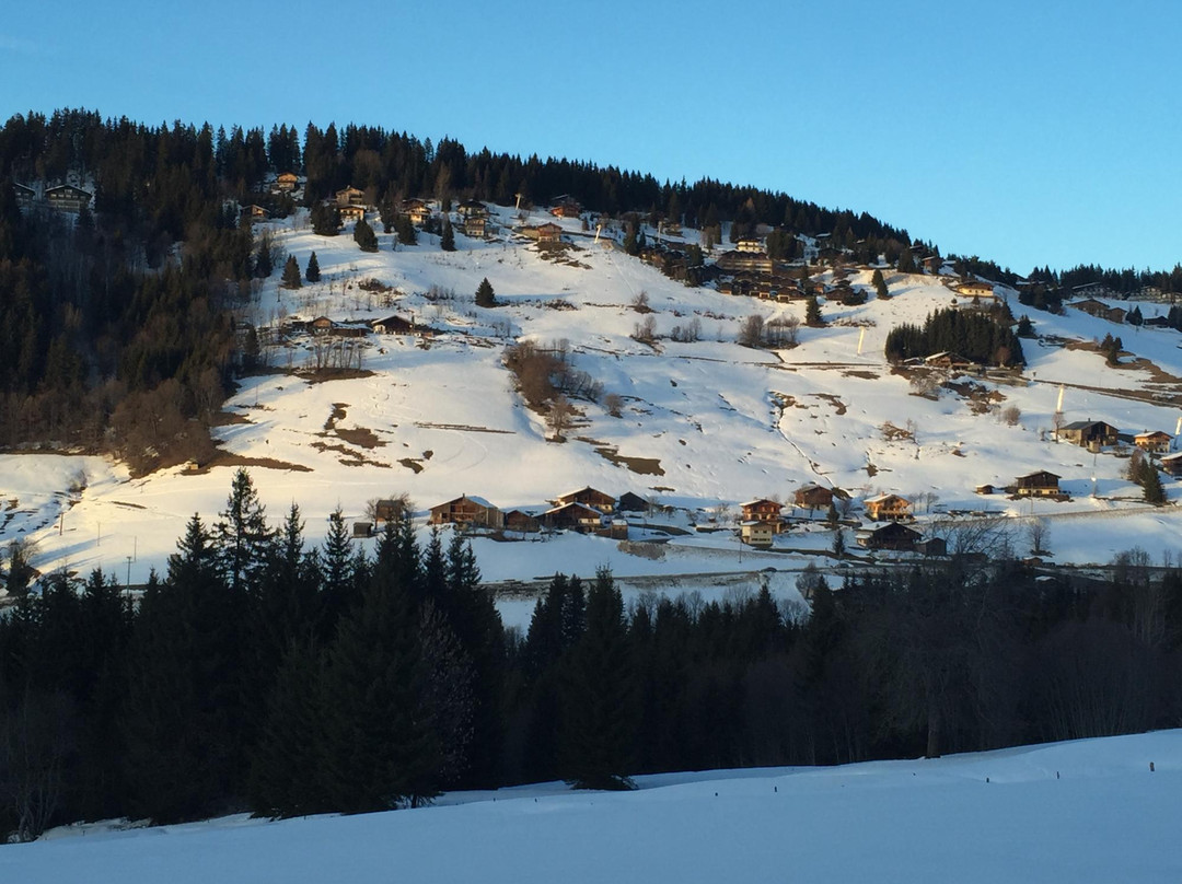 Notre Dame de Bellecombe旅游攻略图片