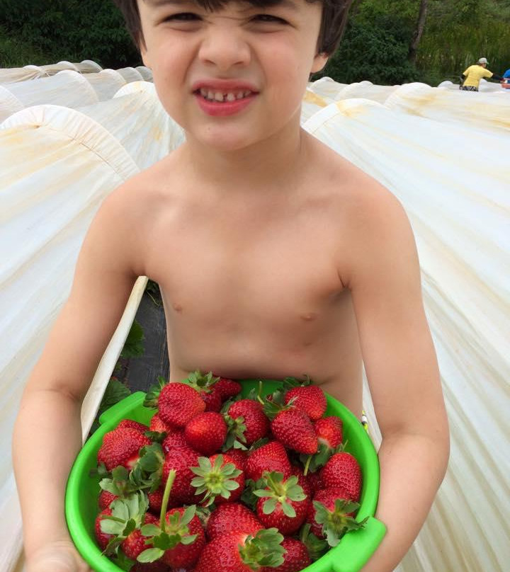 Sítio Herança Agroturismo-多明戈斯-马丁斯必去景点