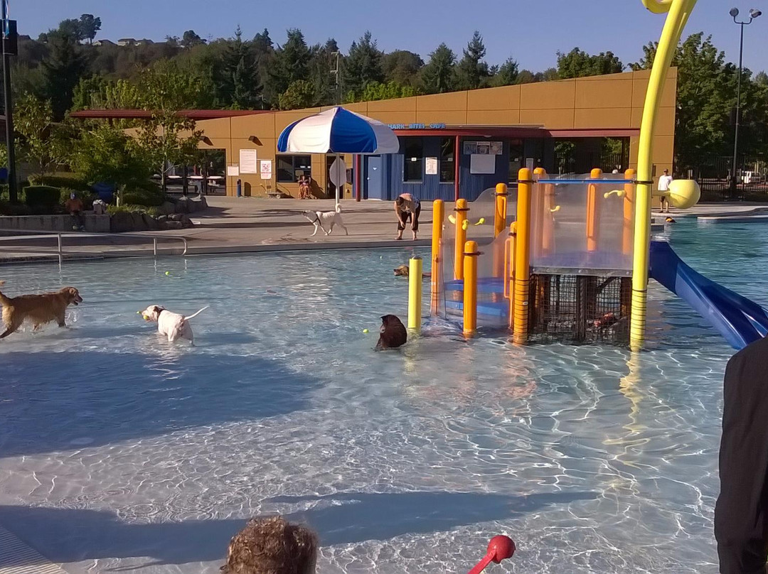 Henry Moses Aquatic Center-伦顿必去景点