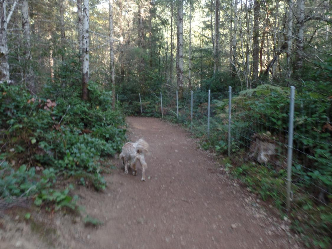 McCormick Forest-吉格港必去景点