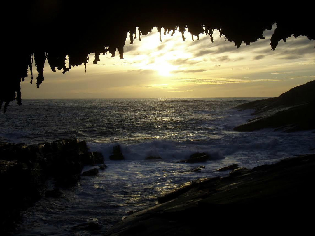 Kangaroo Island Wilderness Tours-袋鼠岛必去景点