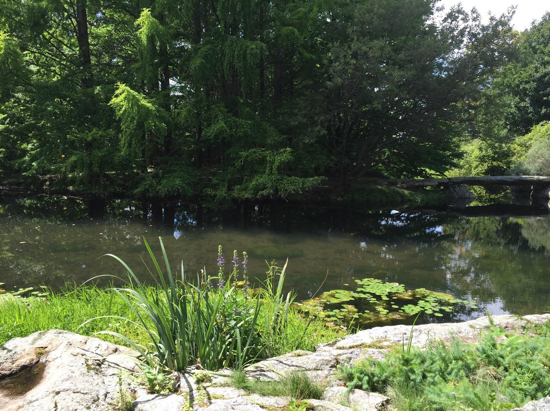 Stonecrop Gardens景点图片