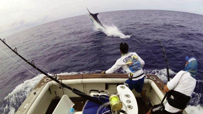 Cabo Verde Fishing Center-明德卢必去景点