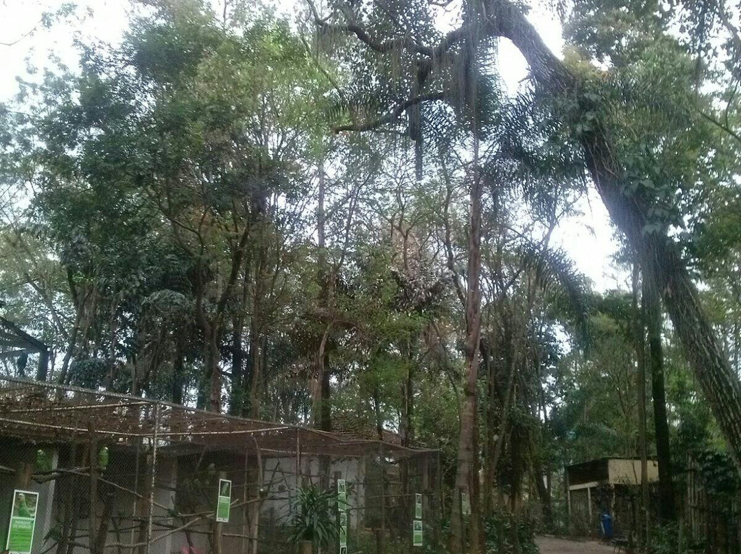 Zoológico de Catanduva-Catanduva必去景点