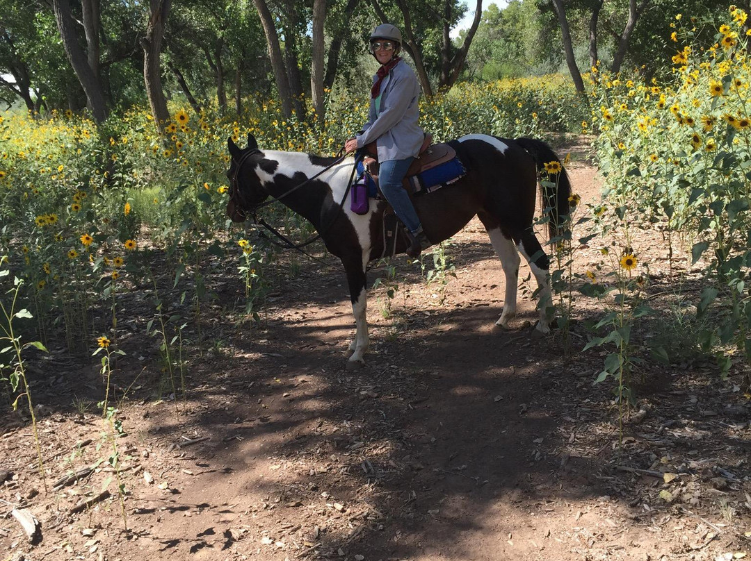Running Horse Ranch-阿尔伯克基必去景点