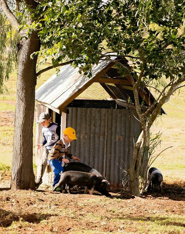 Paddock to Potager-图沃柏必去景点