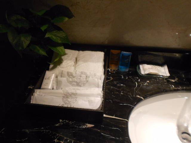 碧桂园空港凤凰酒店主图