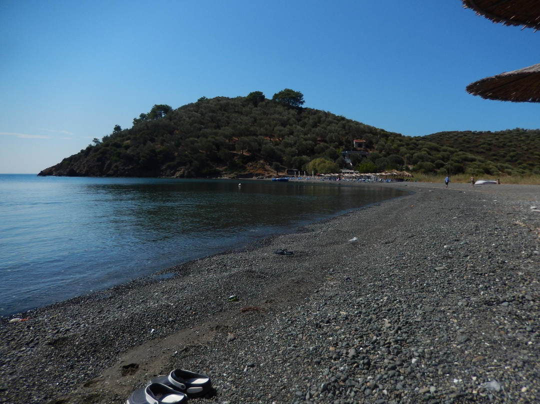 Blue Bay Hotel主图