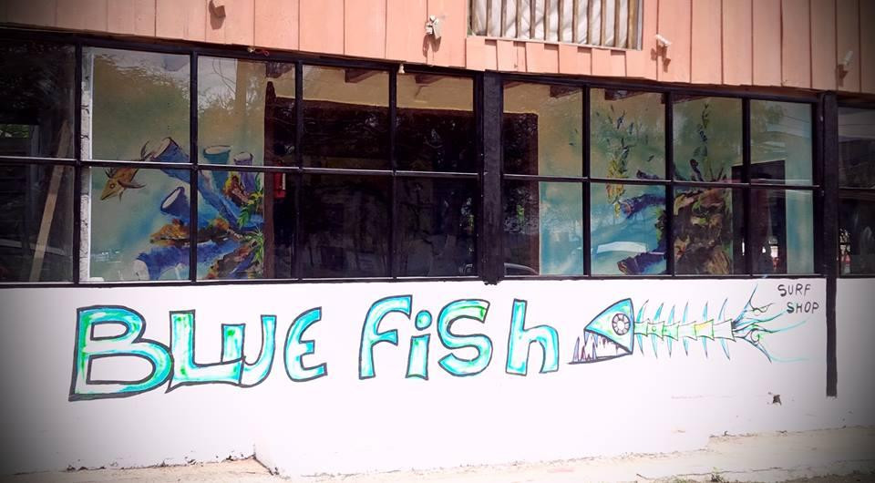 Blue Fish Surf Shop景点图片