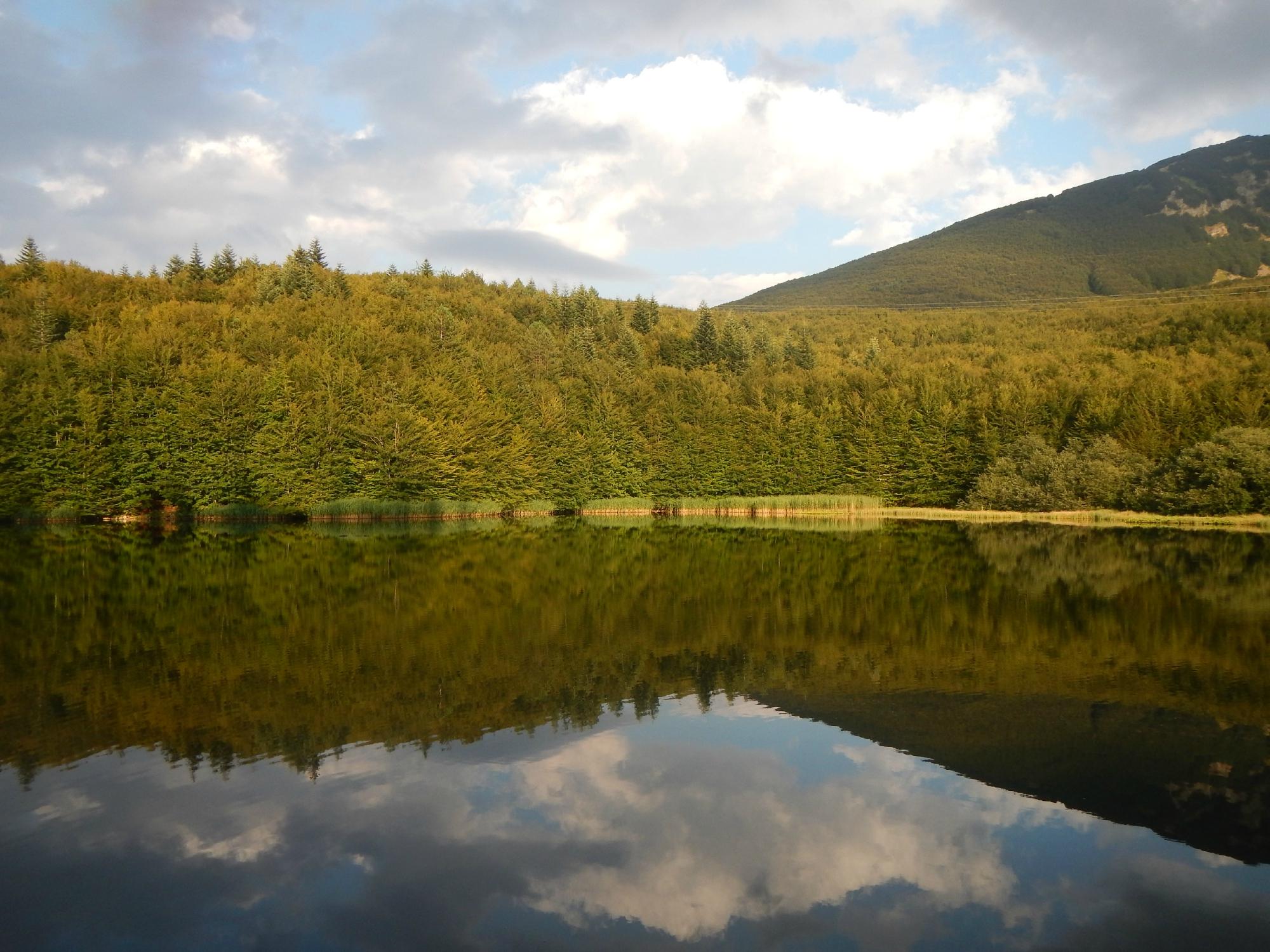 Affittacamere Trout Lodge-客卧