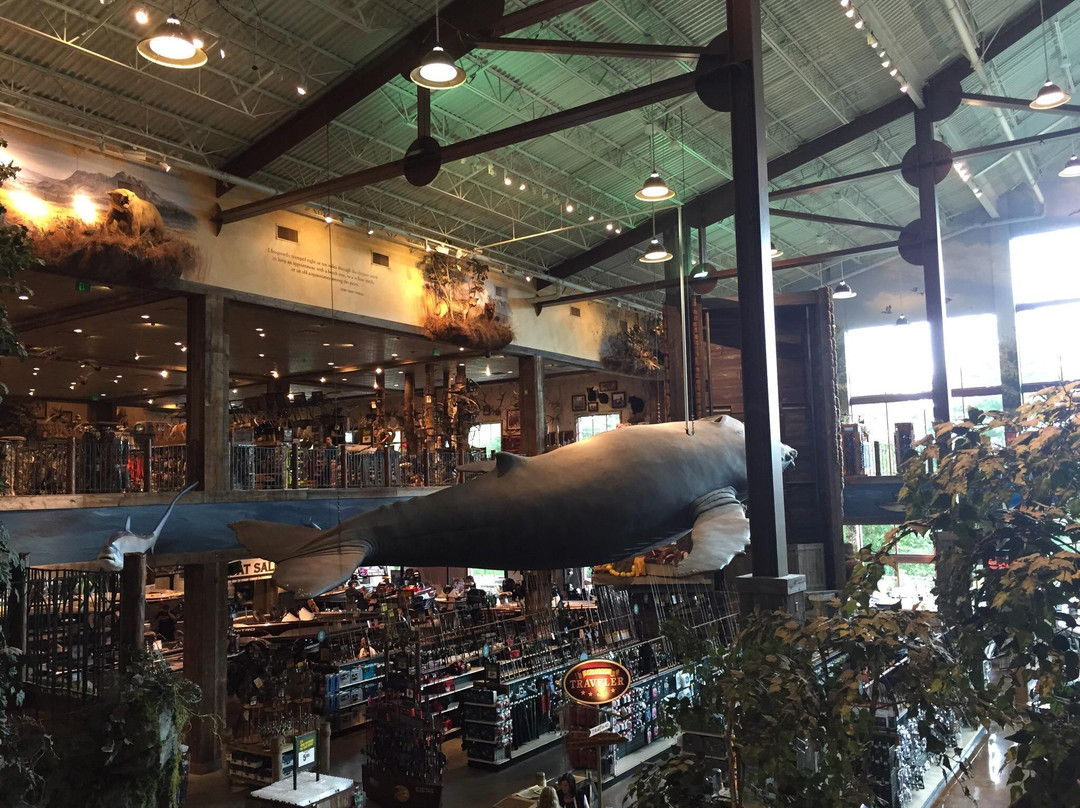 Bass Pro Shops-福克斯伯勒必去景点