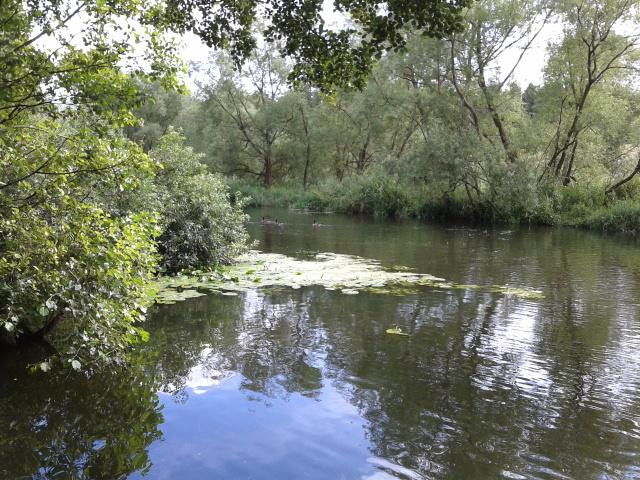 Schwentinetalfahrt-基尔必去景点