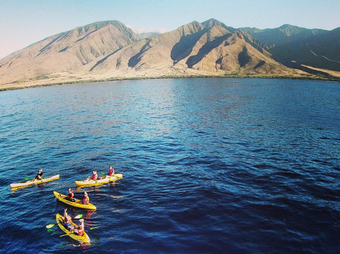 Hawaiian Paddle Sports-拉海纳必去景点