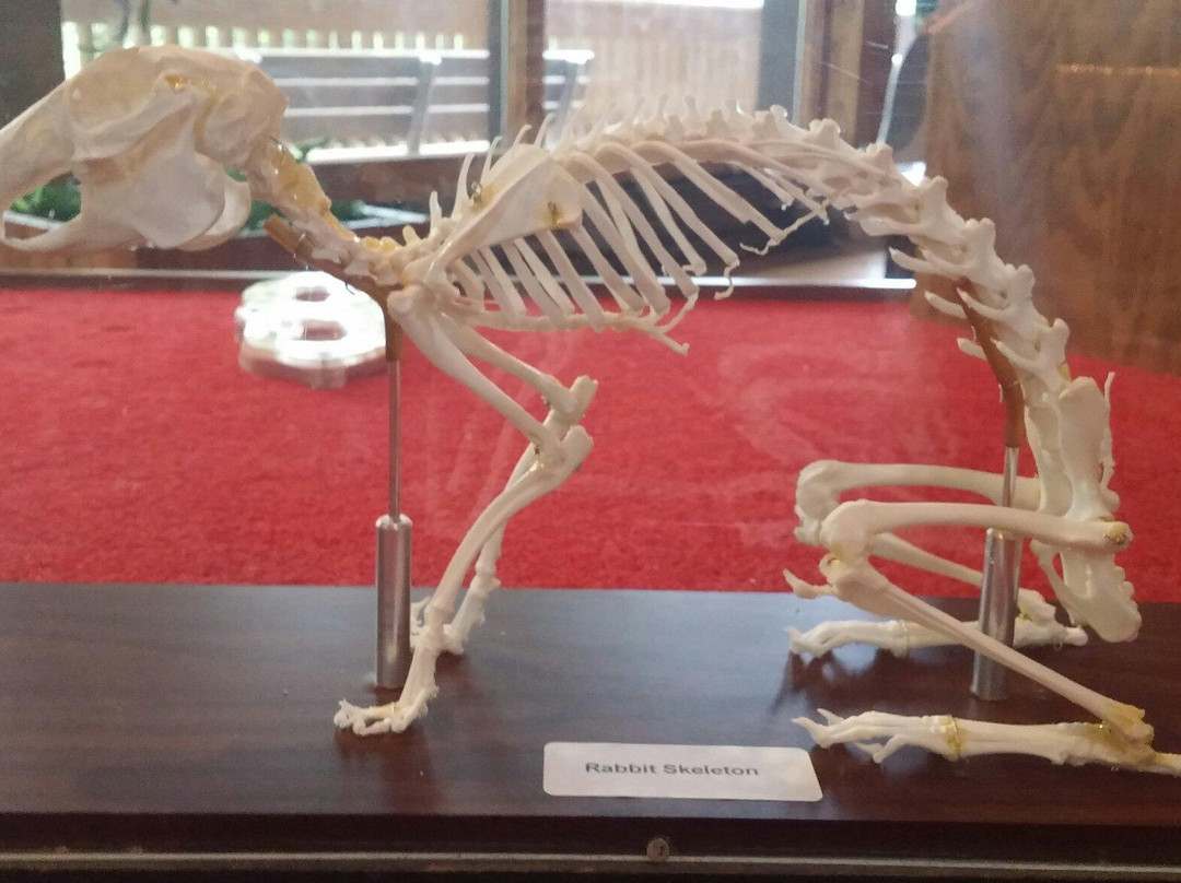 Bay Beach Wildlife Sanctuary-格林贝必去景点