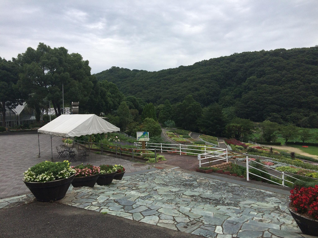 Wakayama Botanical Park-岩出市必去景点