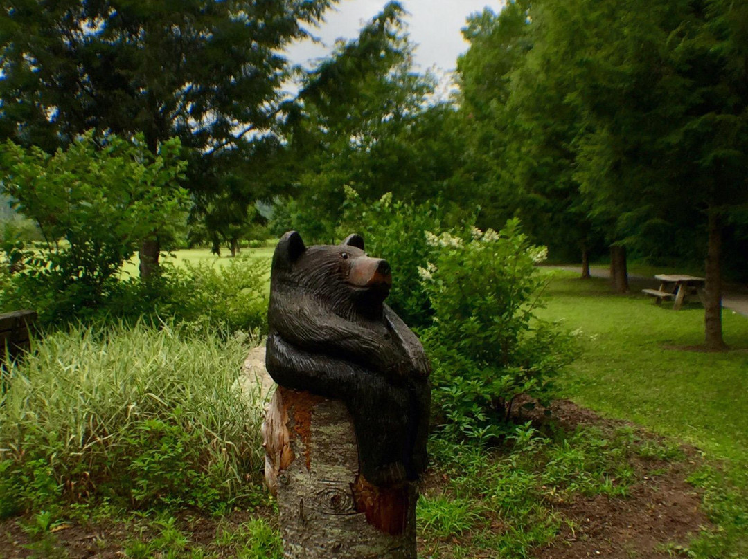 The Valle Crucis Community Park景点图片