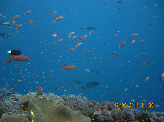 巴厘岛潜水-沙努尔必去景点