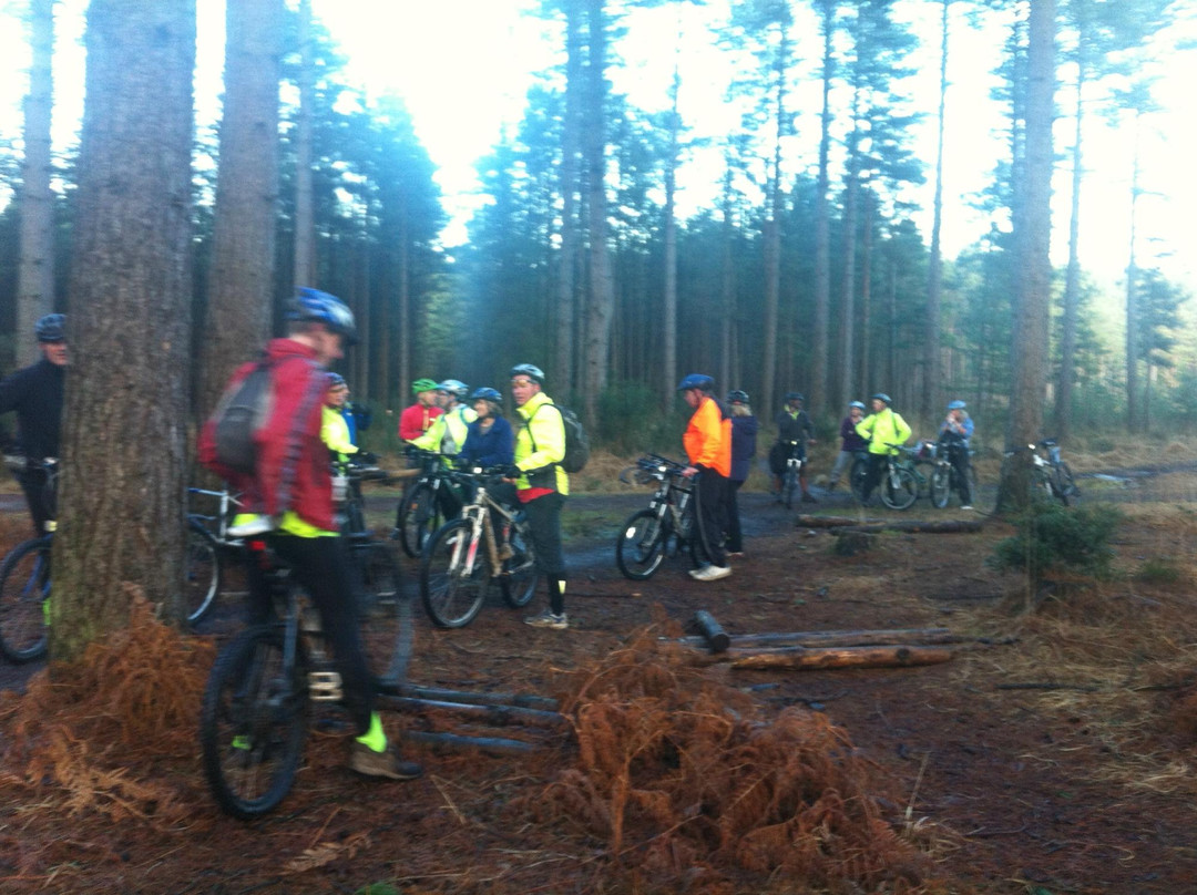 New Forest Cycling Guide景点图片