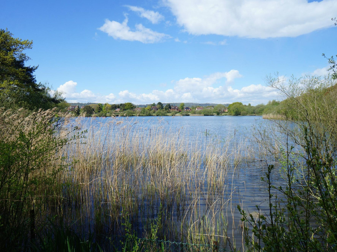 Petersfield Lake景点图片