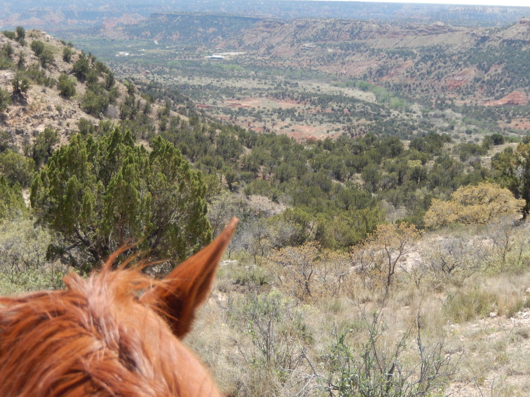 Cowgirls and Cowboys in the West-阿马里洛必去景点
