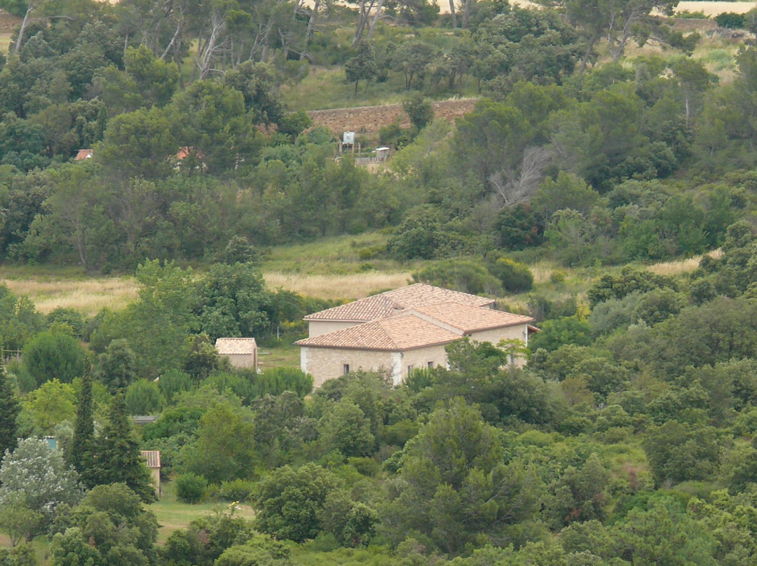 L'Oasis Des Corbières主图