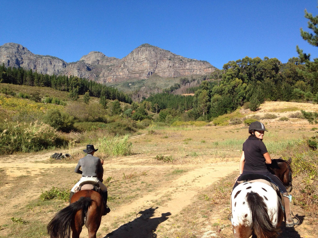 Cape Winelands Riding-Simondium必去景点