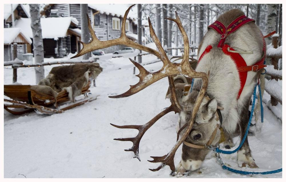 圣诞老人驯鹿雪橇之旅-罗瓦涅米必去景点