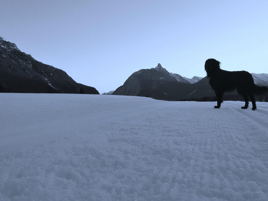 Buchen餐馆和美食-Landhotel Wolf