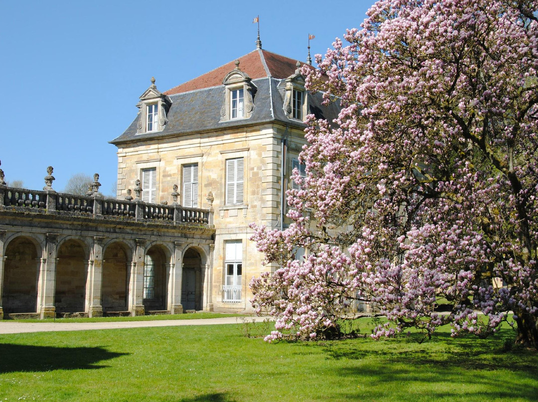 Trois-Fontaines-l'Abbaye旅游攻略图片