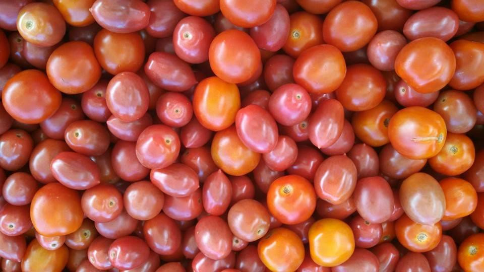 Kauai Kunana Dairy Farm Tour-基拉韦厄必去景点