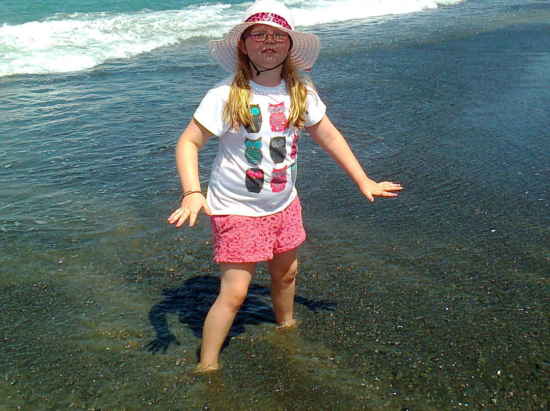 Marine Parade-纳皮尔必去景点