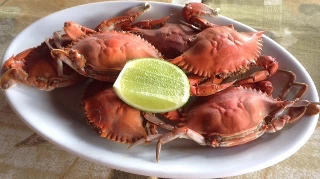 Anadia餐馆和美食-Restaurante Poliana