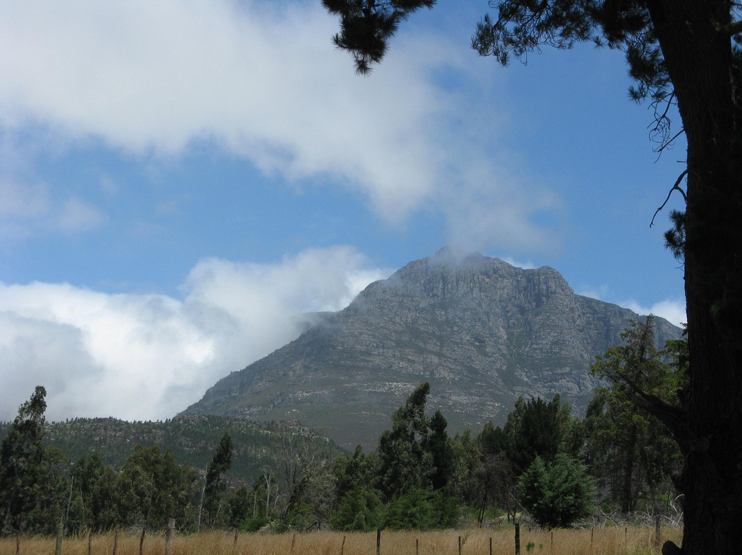Herold Wine Estate-乔治必去景点