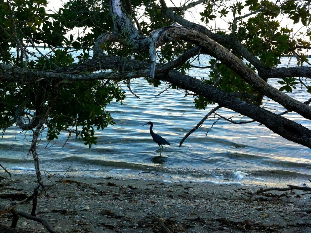 Indian Mound Park-恩格尔伍德必去景点