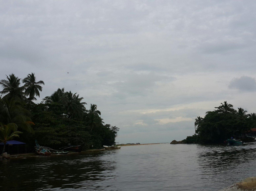 Madu River Safari by Buddhi-巴拉碧提雅必去景点