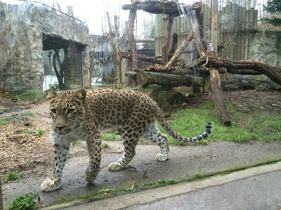 Zoo Jihlava-伊赫拉瓦必去景点