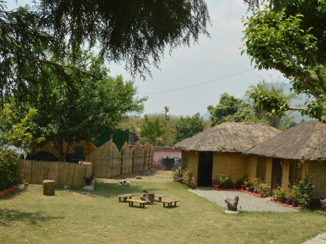 Jungle Adventure Camp