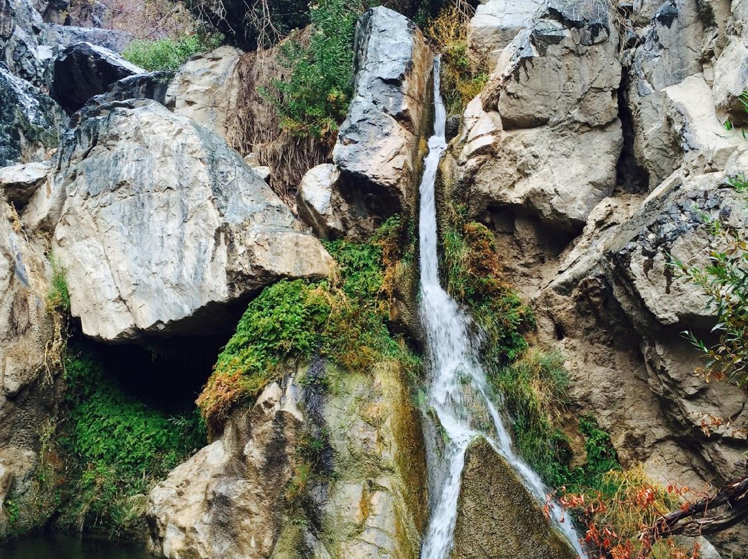 Darwin Falls-死亡谷国家公园必去景点