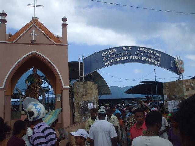 Negombo Fish Market-尼甘布必去景点