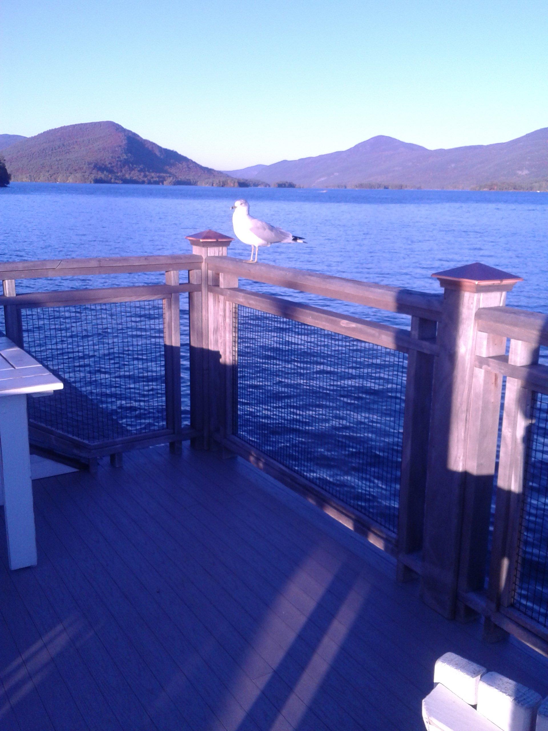 The Inn at Bolton Landing-客卧