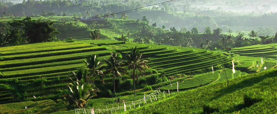 Ubud Cycling Bike景点图片