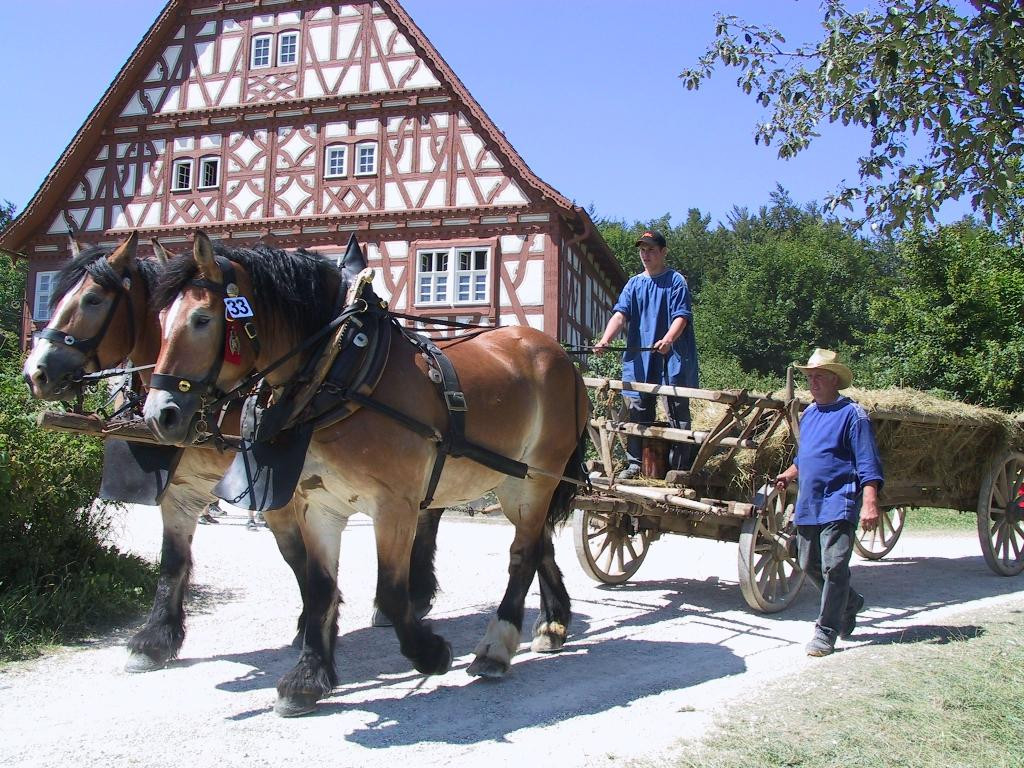 Freilichtmuseum Neuhausen Ob Eck-Neuhausen ob Eck必去景点