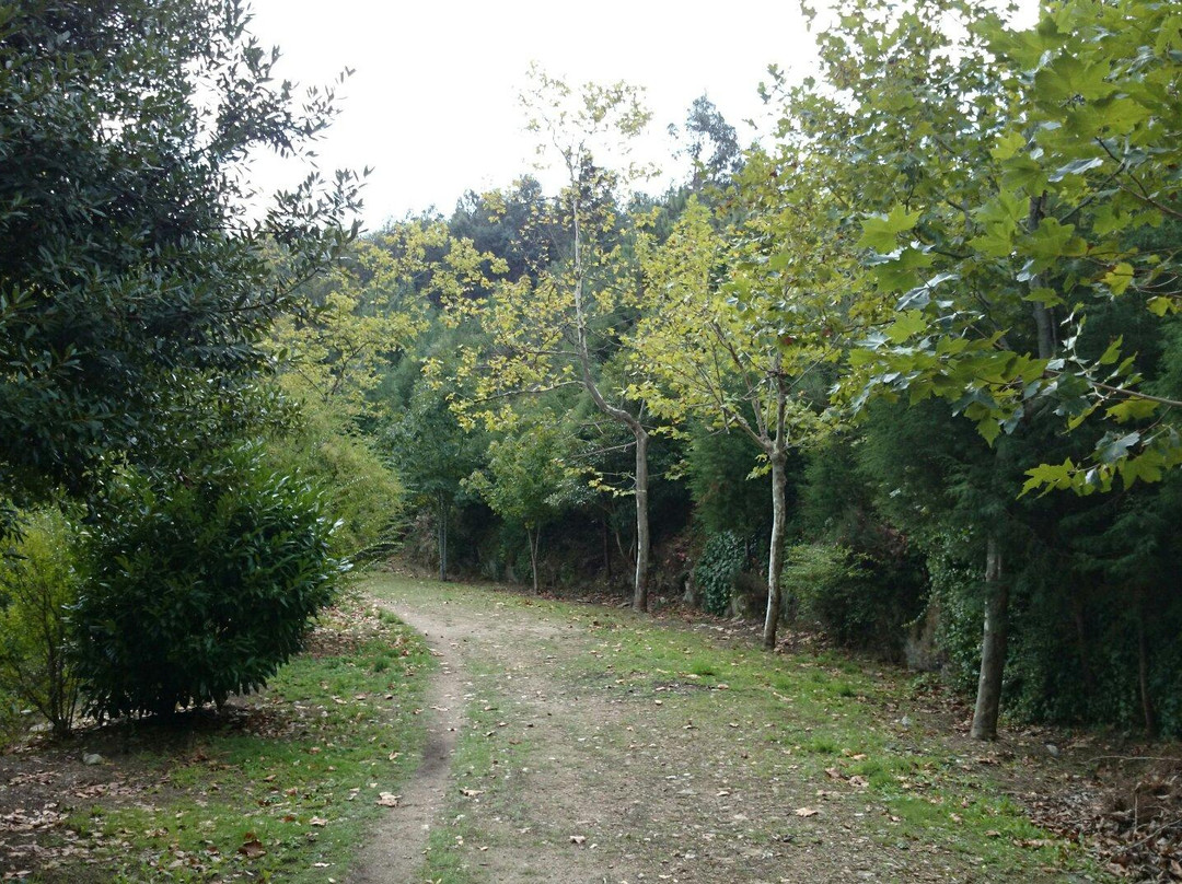Mata Nacional de Vale de Canas景点图片