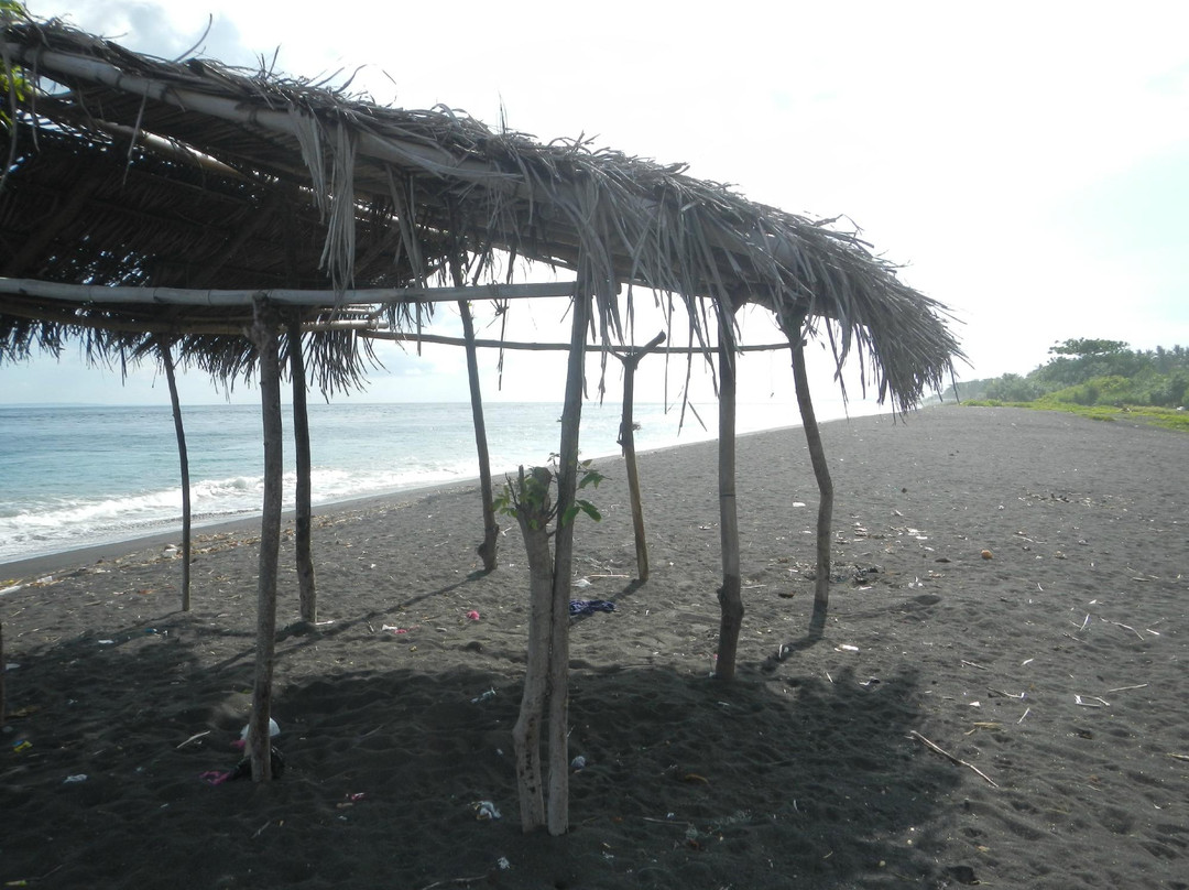 Black Sand Beach景点图片