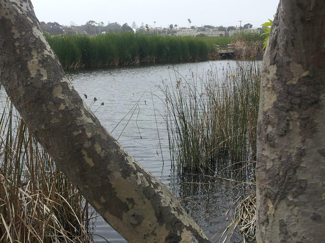 Buena Vista Audubon Society & Nature Center-欧申赛德必去景点
